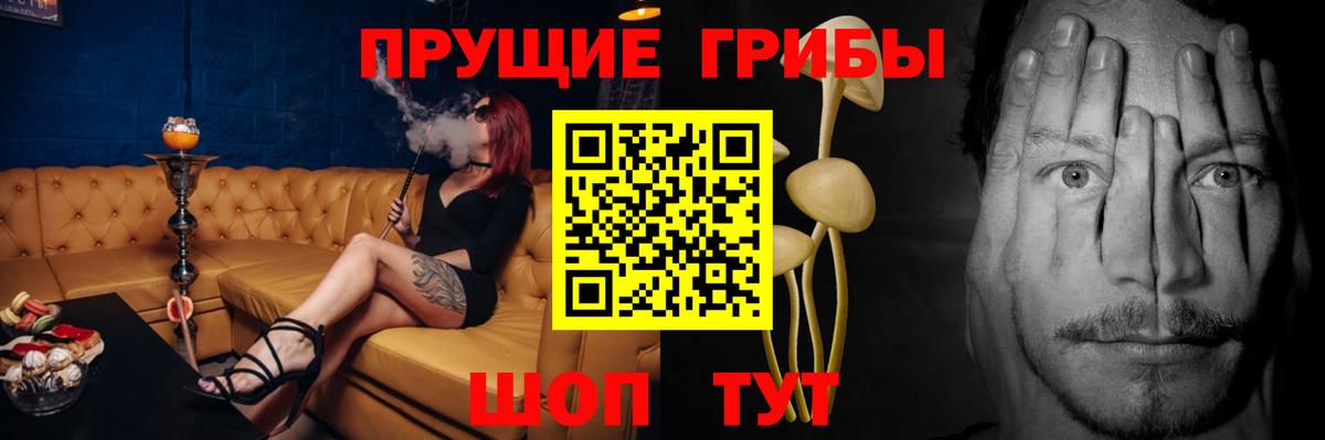 Псилоцибиновые грибы Magic Shrooms  Галлюциногенные грибы Psilocybine cubensis  Сосновоборск  Вход с VPN 